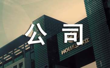 公司IT技術(shù)人員轉(zhuǎn)正申請(qǐng)書