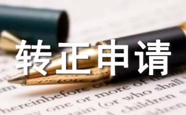 IT技術(shù)人員轉(zhuǎn)正申請書